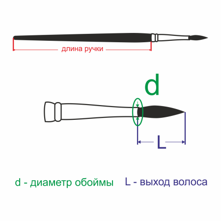 Кисть серии "Байкал" из волоса белки, круглая №5